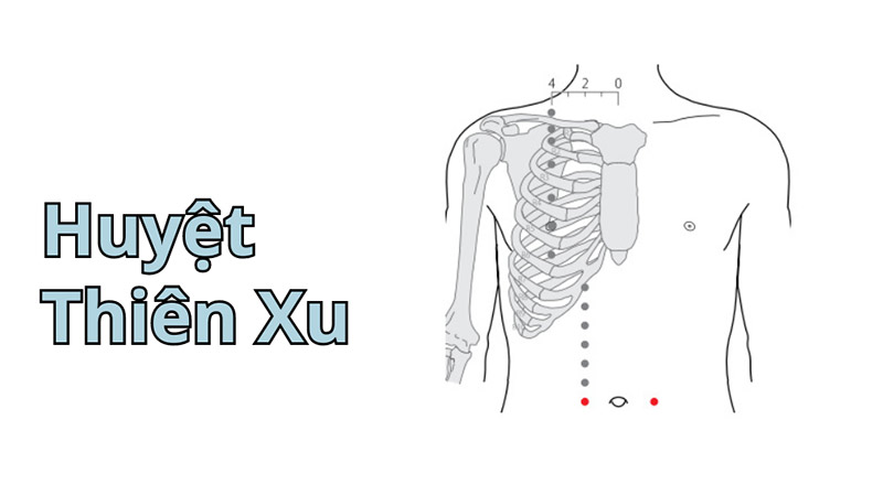 Áp dụng cách bấm huyệt chữa đau dạ dày Thiên Xu để điều trị bệnh