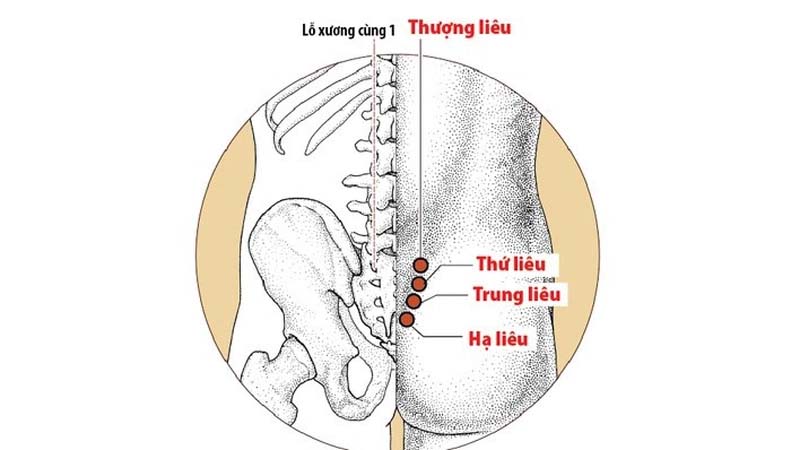 Vị trí huyệt Thượng Liêu