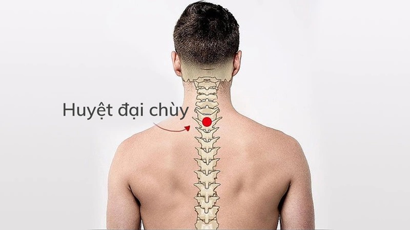 Các huyệt vùng lưng - Huyệt Đại Chùy