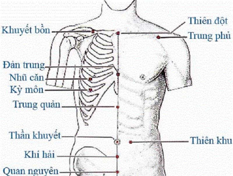 Vị trí huyệt Trung Phủ trên bản đồ huyệt