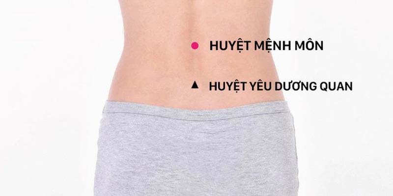 Huyệt Mệnh Môn là j? Vị trí của huyệt ở đâu?