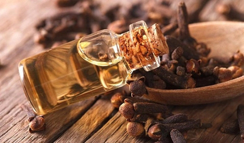 Sử dụng tinh dầu đinh hương để massage nướu