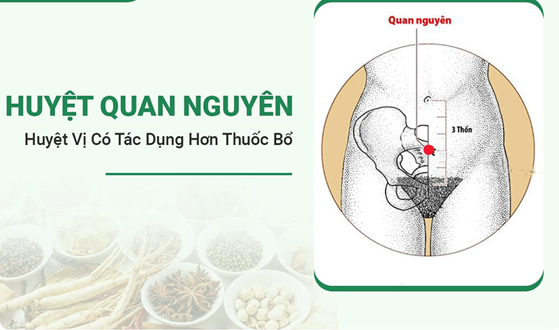 Huyệt Quan Nguyên - Huyệt vị tốt hơn thuốc bổ