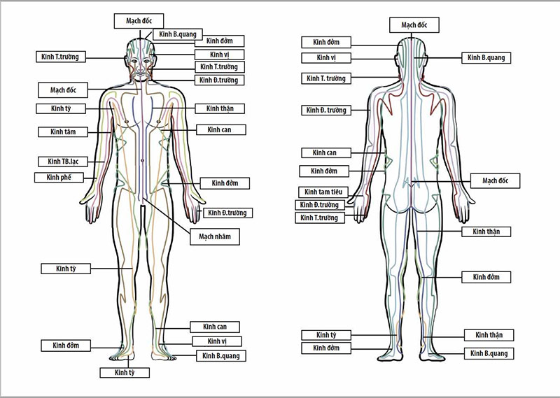 Tử huyệt là điểm chết, khi tác động gây nguy hiểm đến sức khỏe, tính mạng