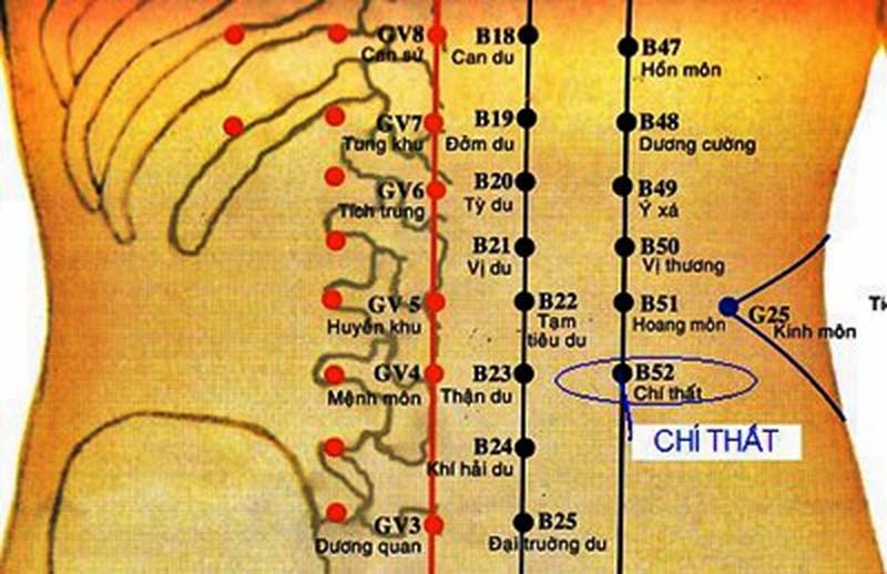 Vị trí huyệt Chí Thất