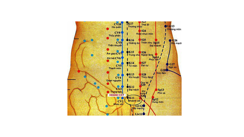 Vị trí huyệt Hoành Cốt