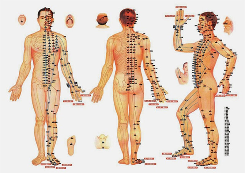 Cơ thể người có đến 365 huyệt đạo