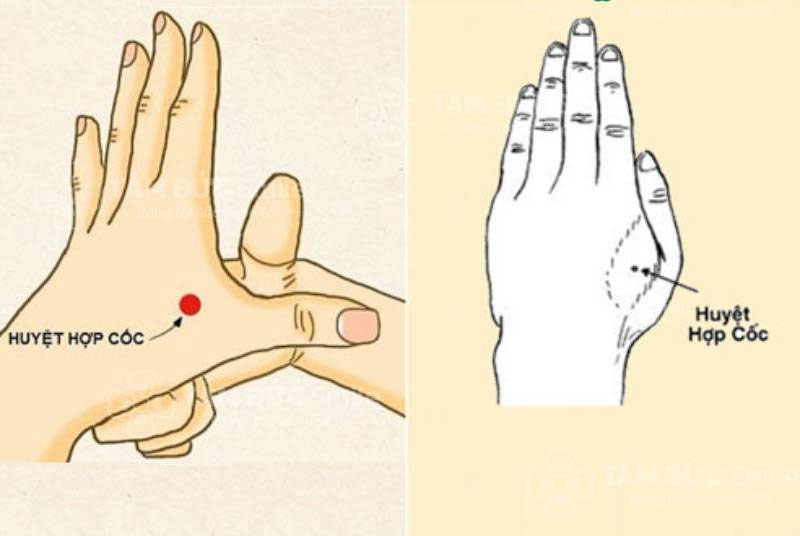 Vị trí huyệt Hợp Cốc