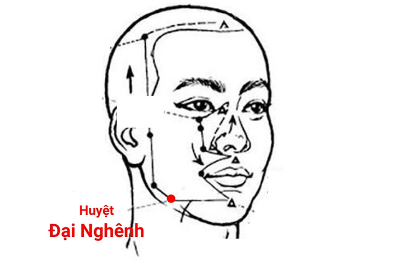 Vị trí huyệt Đại Nghinh - Đại Nghênh