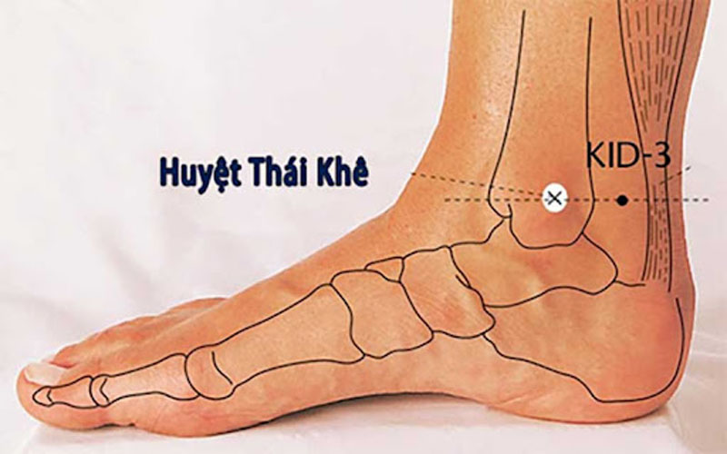 Vị trí huyệt Thái Khê