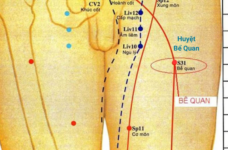Huyệt Bế Quan hỗ trợ giảm đau khớp háng, đau thần kinh tọa, viêm khớp gối