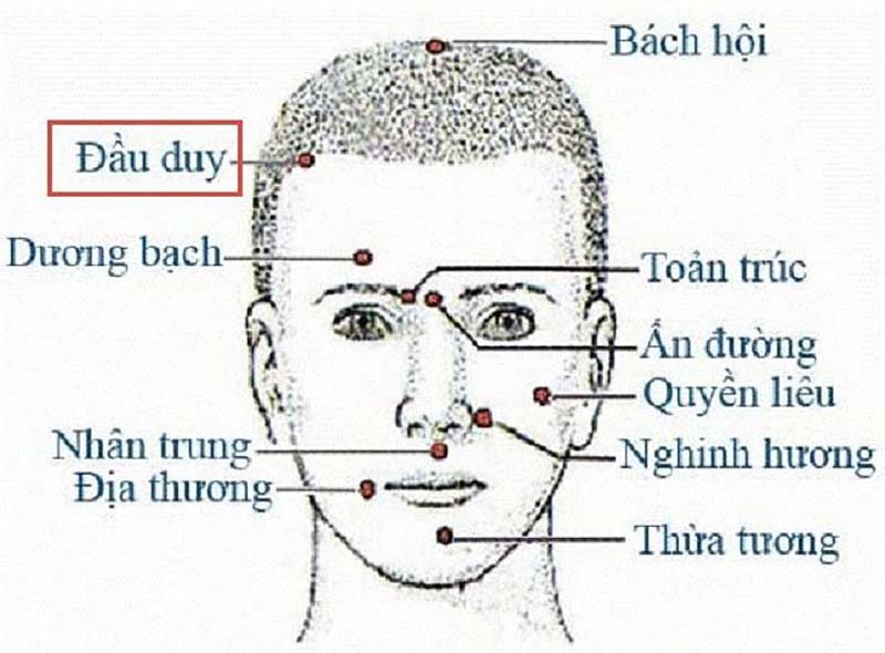 Vị trí huyệt Đầu Duy trong bản đồ huyệt vị vùng mặt