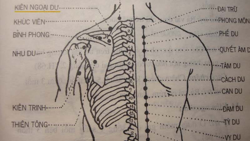 Vị trí của huyệt Cách Du ghi trong sách