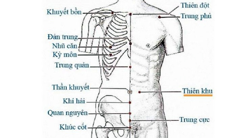 Huyệt Thiên Khu vị trí nằm 2 bên rốn