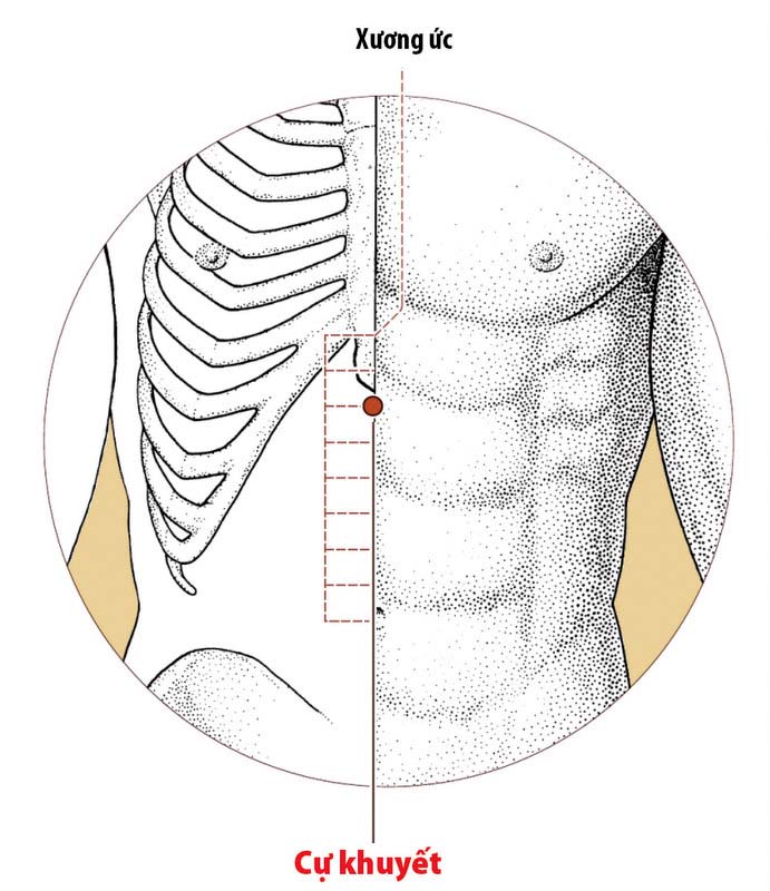 Vị trí huyệt Cự Khuyết