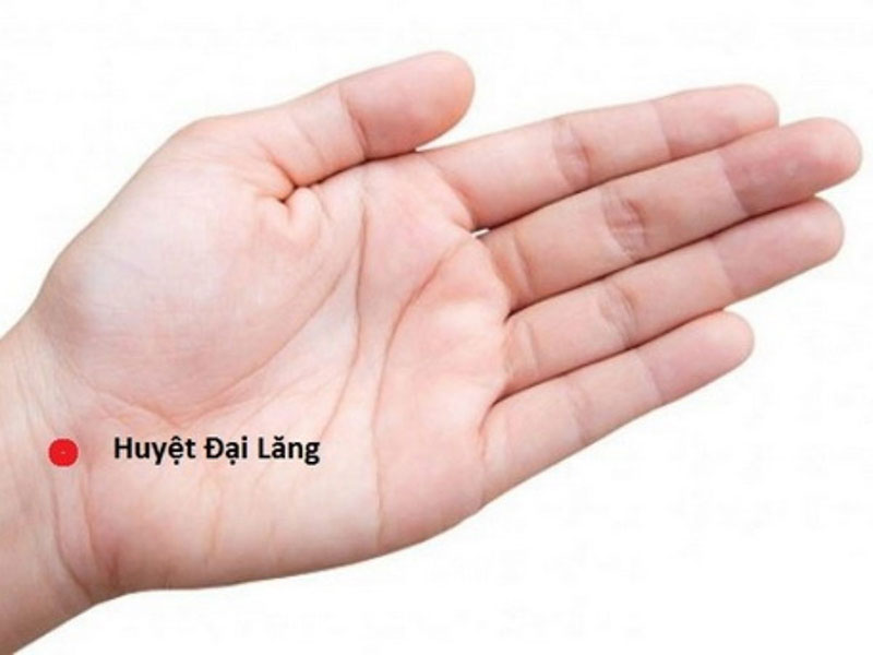 Vị trí huyệt Đại Lăng