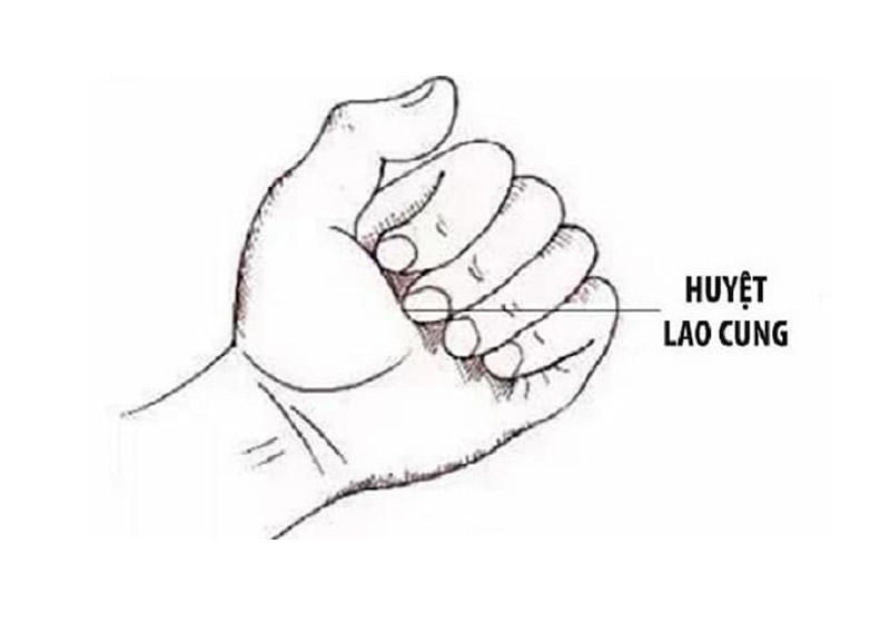 Các xác định vị trí huyệt Lao Cung