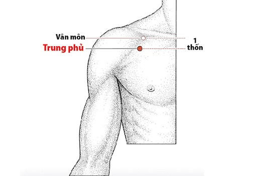 huyệt trung phủ