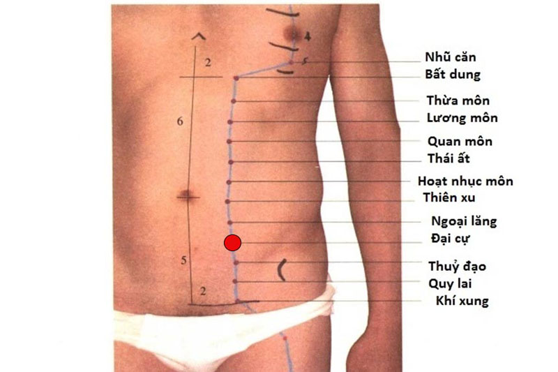 Vị trí huyệt Đại Cự nằm ở vùng bụng