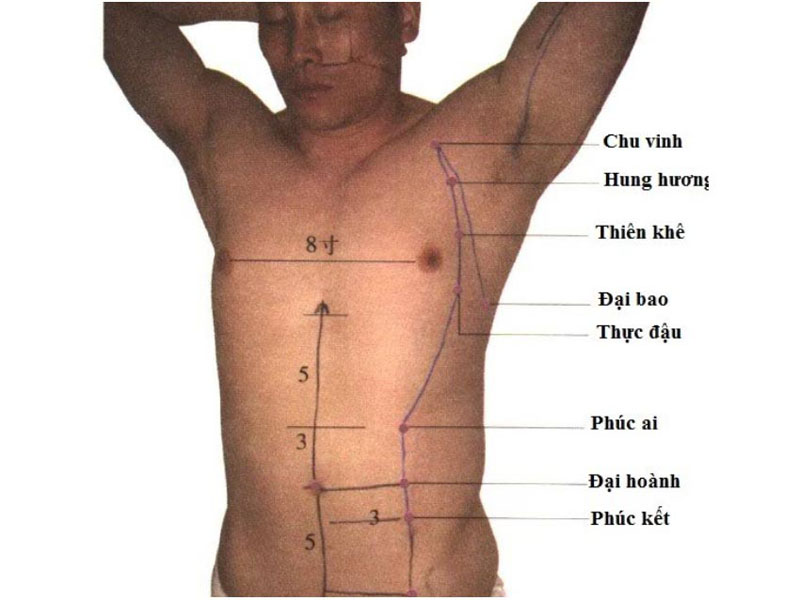 Vị trí huyệt Phúc Ai nằm trên vùng bụng
