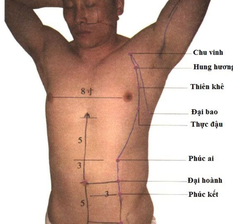 Vị trí huyệt Phúc Kết ở vùng bụng
