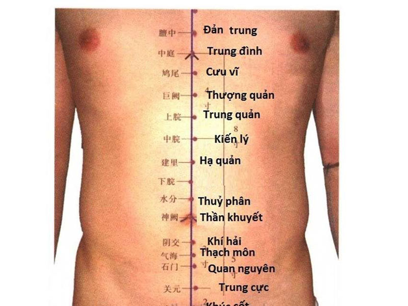 Vị trí huyệt Trung Đình