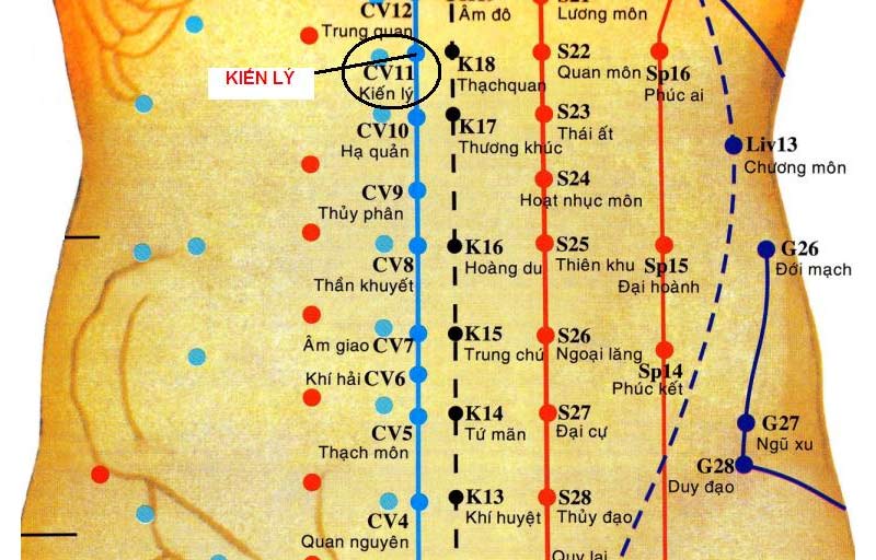 Vị trí huyệt Kiến Lý