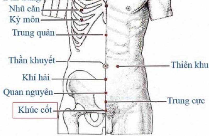 Hình ảnh huyệt Khúc Cốt trên sơ đồ huyệt vị cơ thể