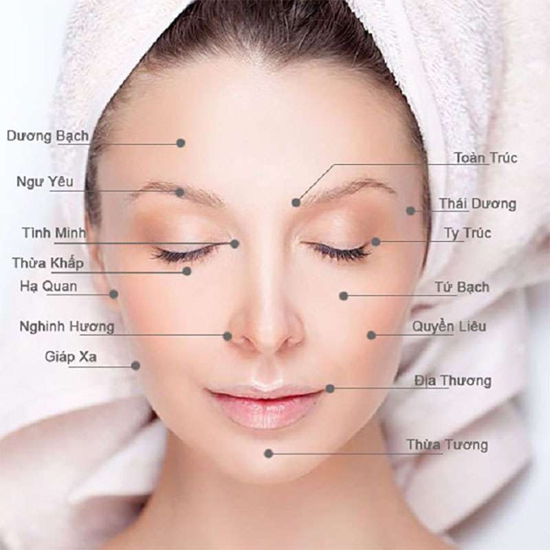 Các huyệt trên mặt