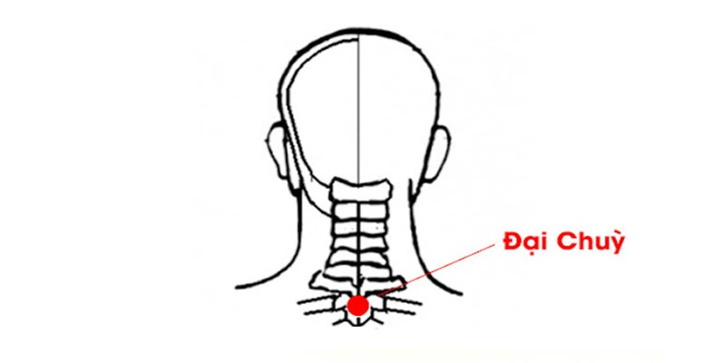 Vị trí huyệt Đại Chùy