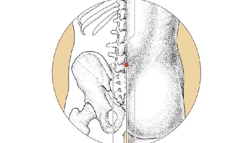 Vị trí chính xác của huyệt Yêu Dương Quan