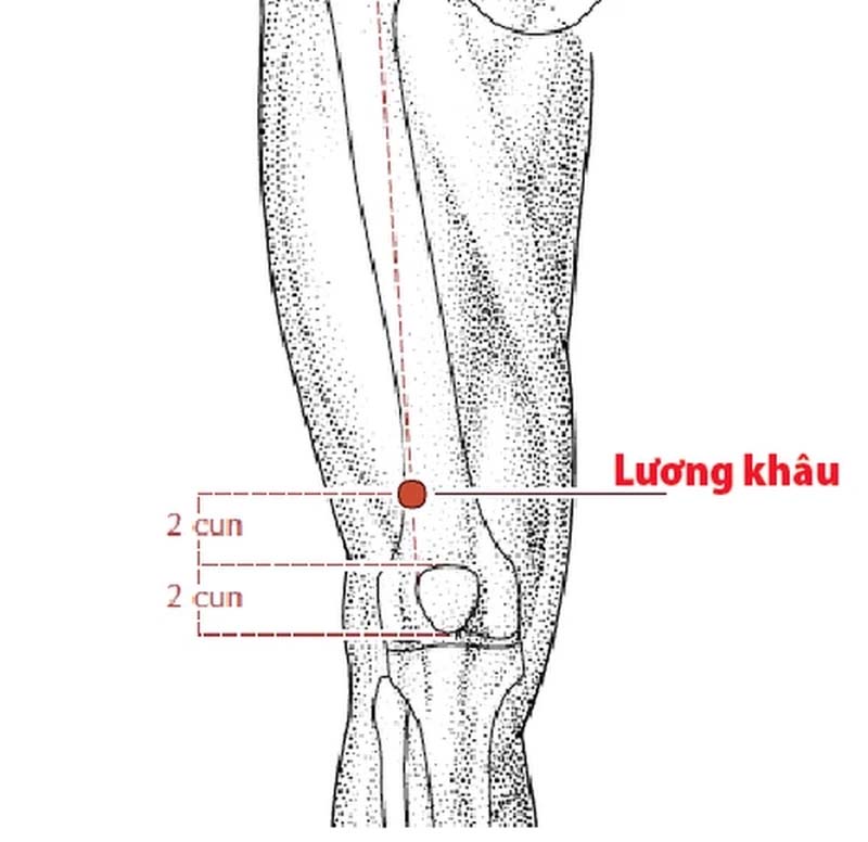Vị trí huyệt Lương Khâu nằm phía trên đầu gối