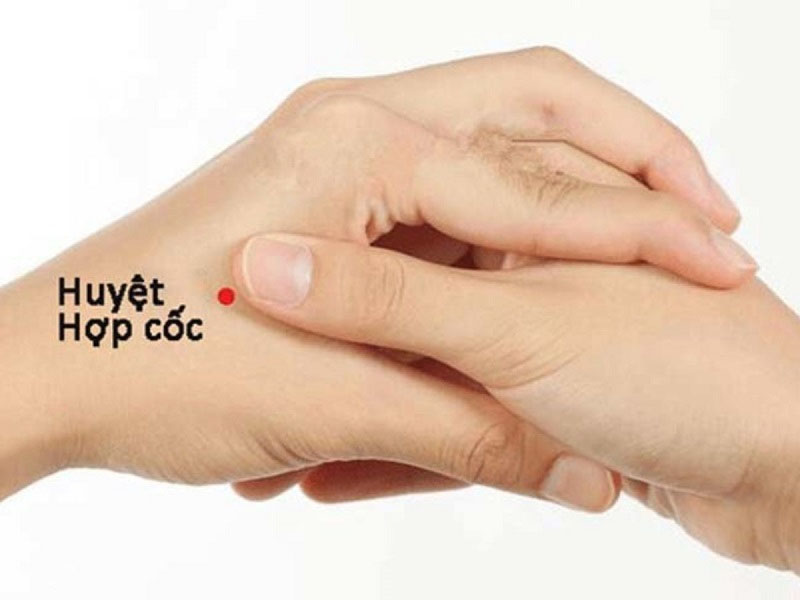 Vị trí huyệt Hợp Cốc