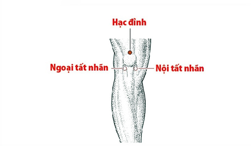 Vị trí huyệt Tất Nhãn nằm ngay trên đầu gối
