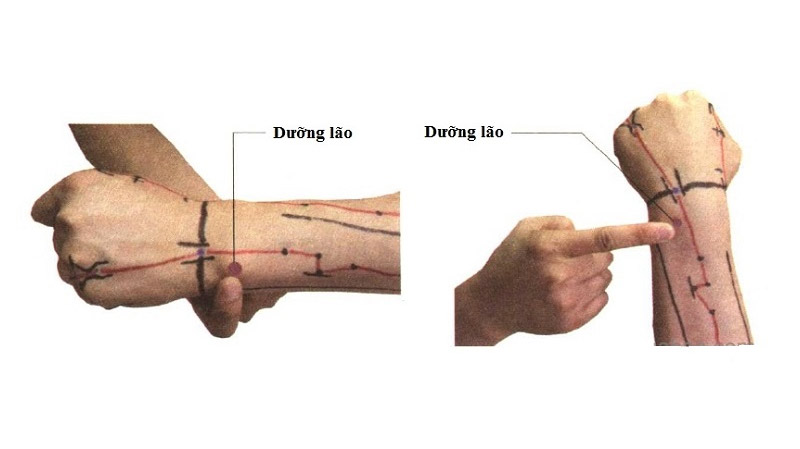 Vị trí huyệt Dưỡng Lão