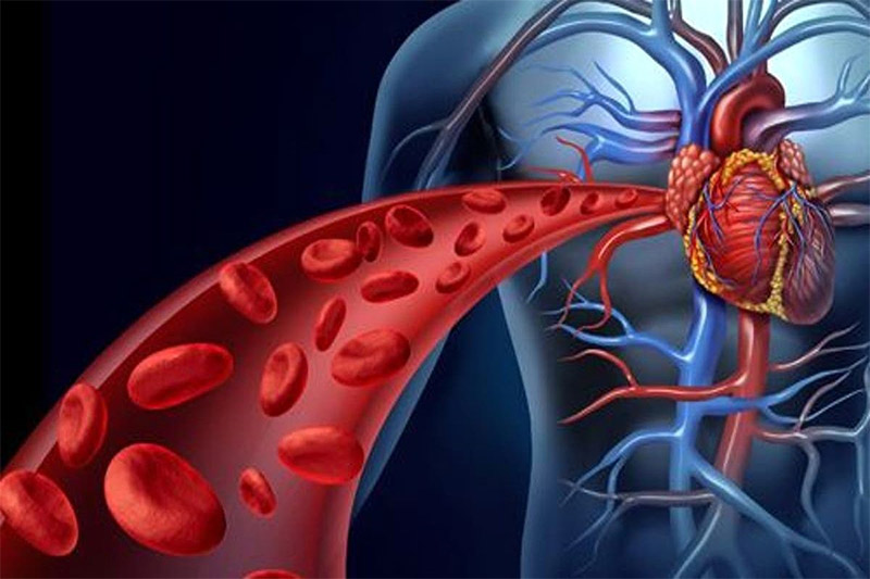 Kích thích huyệt Trung Quản giúp khí huyết cơ thể dồi dào hơn