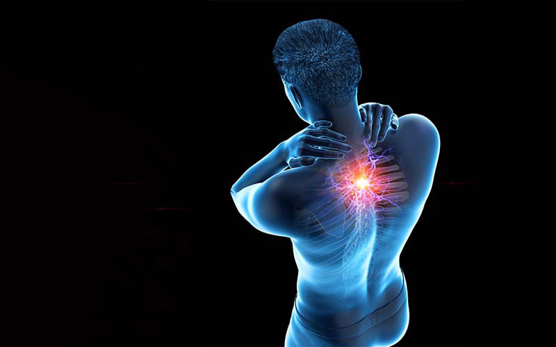 Các vị trí đau lưng trên cảnh báo nhiều bệnh lý nguy hiểm