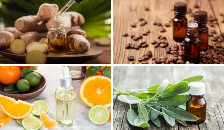 dầu massage toàn thân giá rẻ