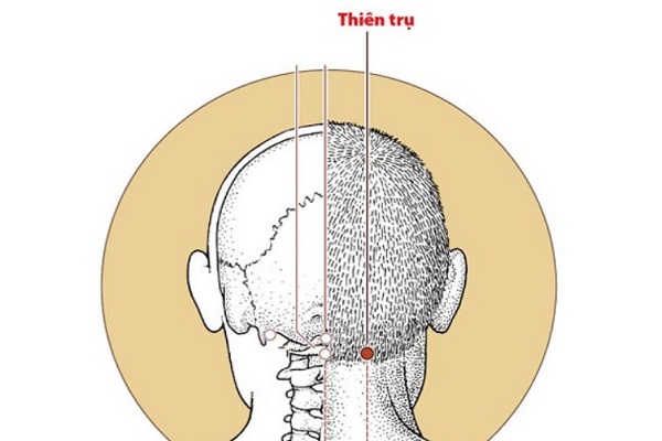 Các huyệt trên cổ