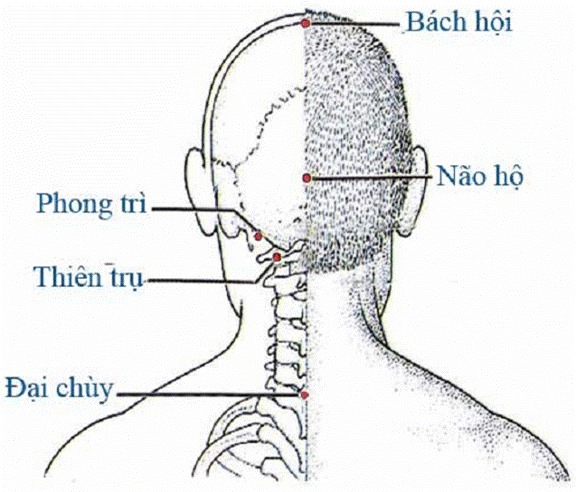 Các huyệt trên đầu
