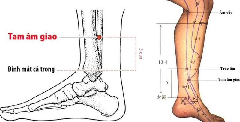 Vị trí huyệt Tam Âm Giao