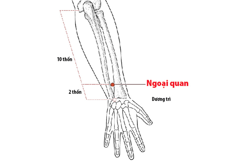 Vị trí huyệt cánh tay Ngoại Quan