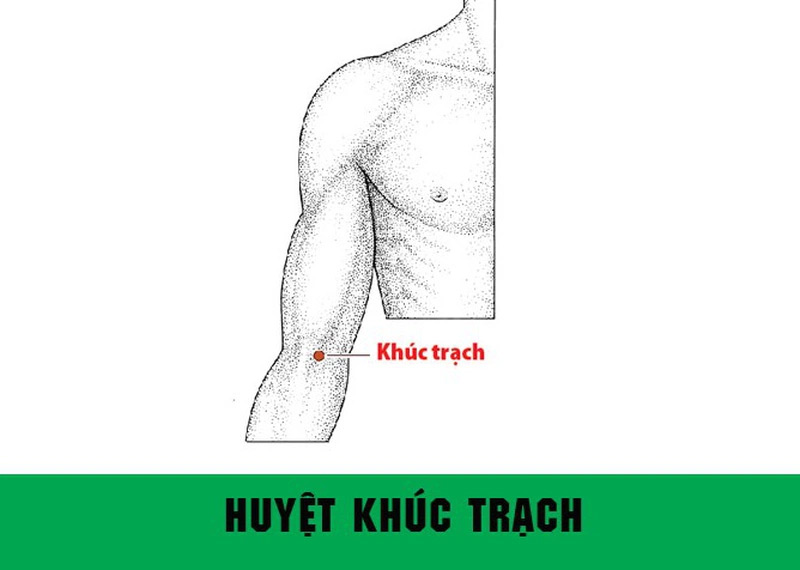 Vị trí huyệt Khúc Trạch