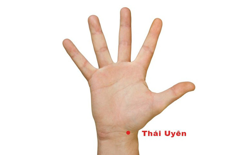 Vị trí huyệt vùng cổ tay Thái Uyên