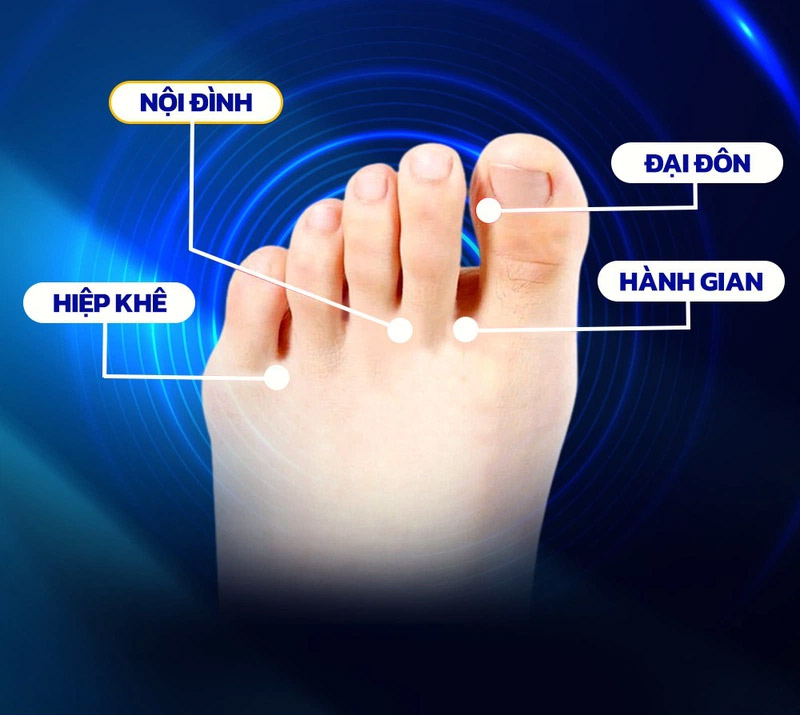 Vị trí huyệt Nội Đình