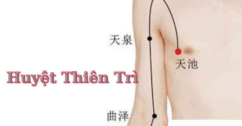 Vị trí huyệt Thiên Trì