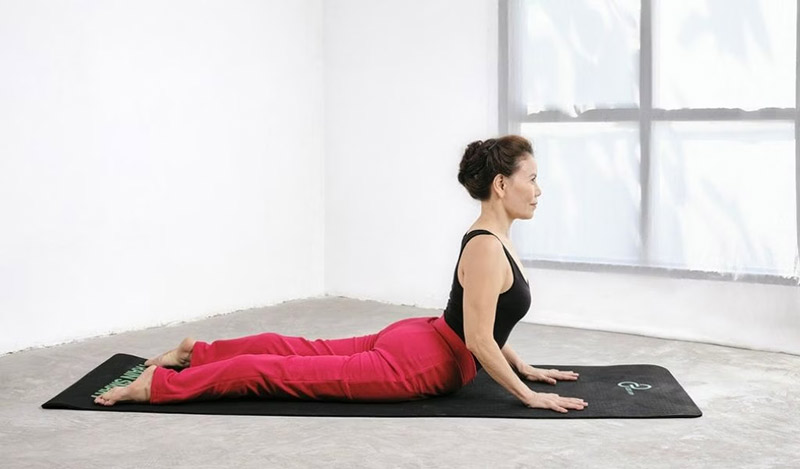 Tư thế rắn hổ mang