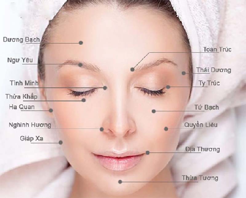 Hình ảnh huyệt Toản Trúc nằm ngay đầu lông mày