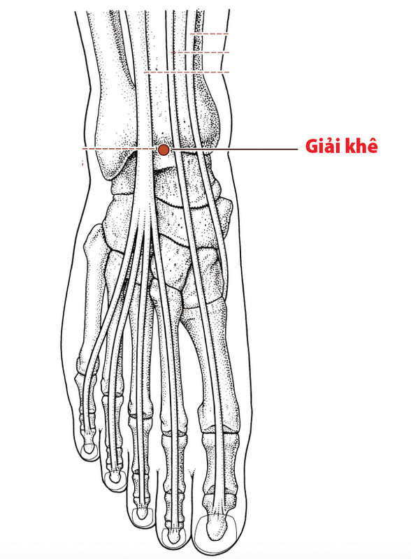 huyệt giải khê trên bàn chân