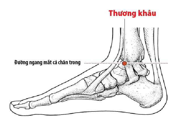 Huyệt Thương khâu trên bàn chân